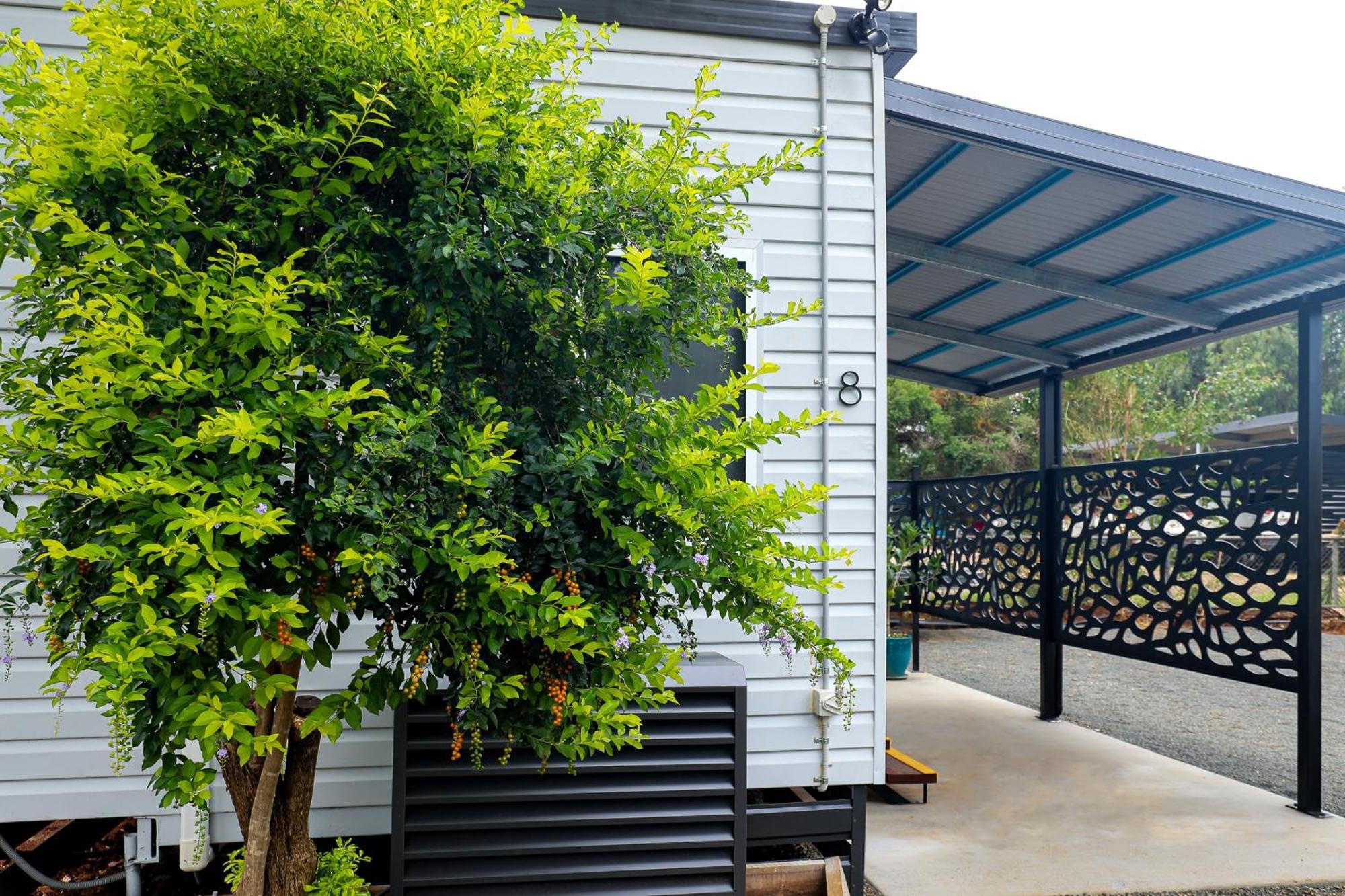 Kingaroy Holiday Park Exterior foto